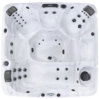 Avalon EC-840L hot tubs for sale in Minnetonka