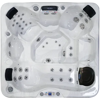 Avalon EC-849L hot tubs for sale in Minnetonka