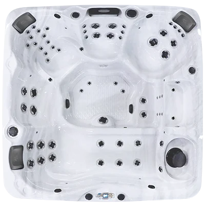 Avalon EC-867L hot tubs for sale in Minnetonka