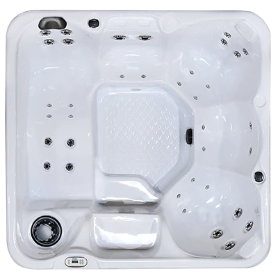 Hawaiian PZ-636L hot tubs for sale in Minnetonka